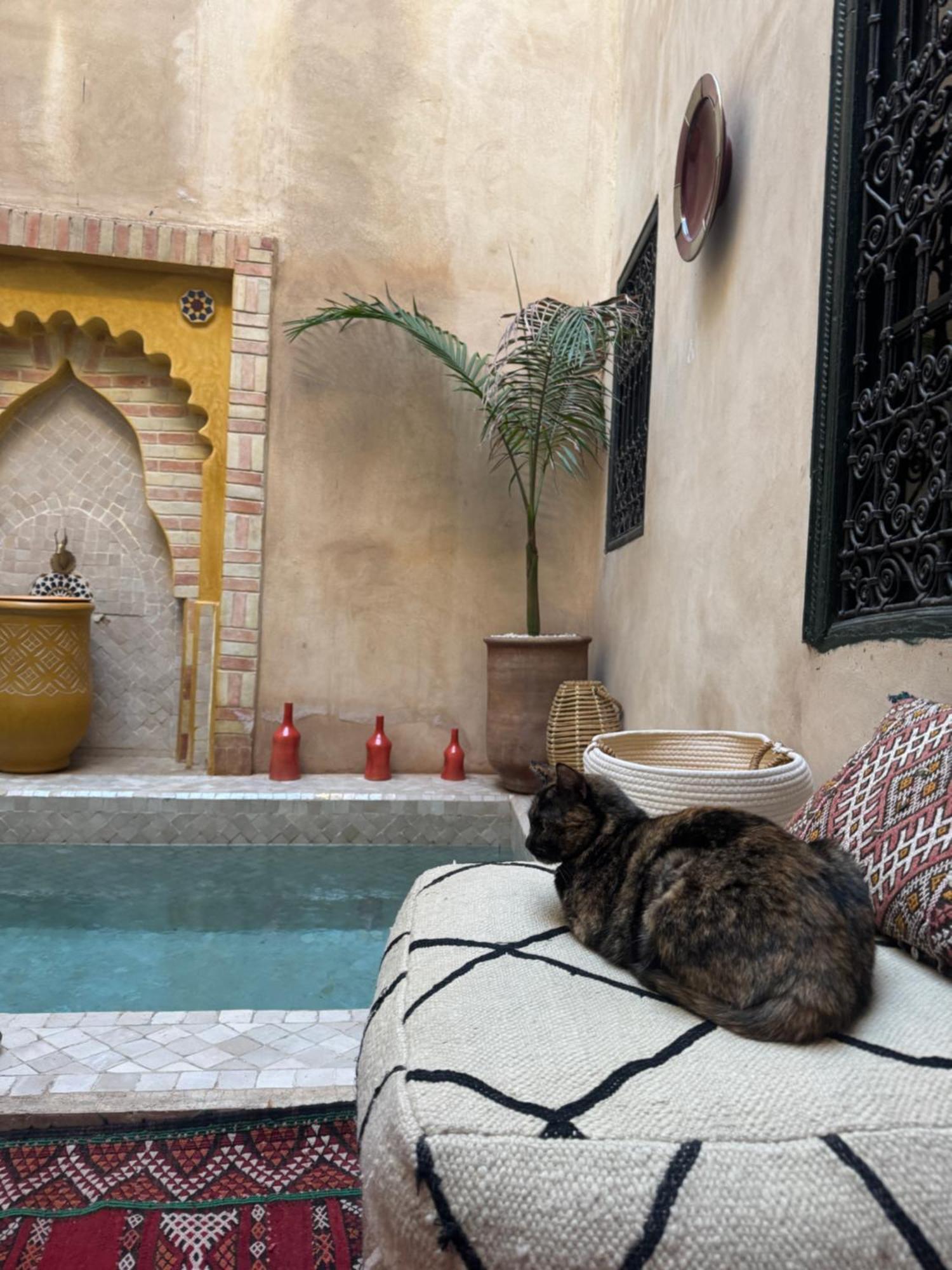 מרקש Riad Paquerette מראה חיצוני תמונה